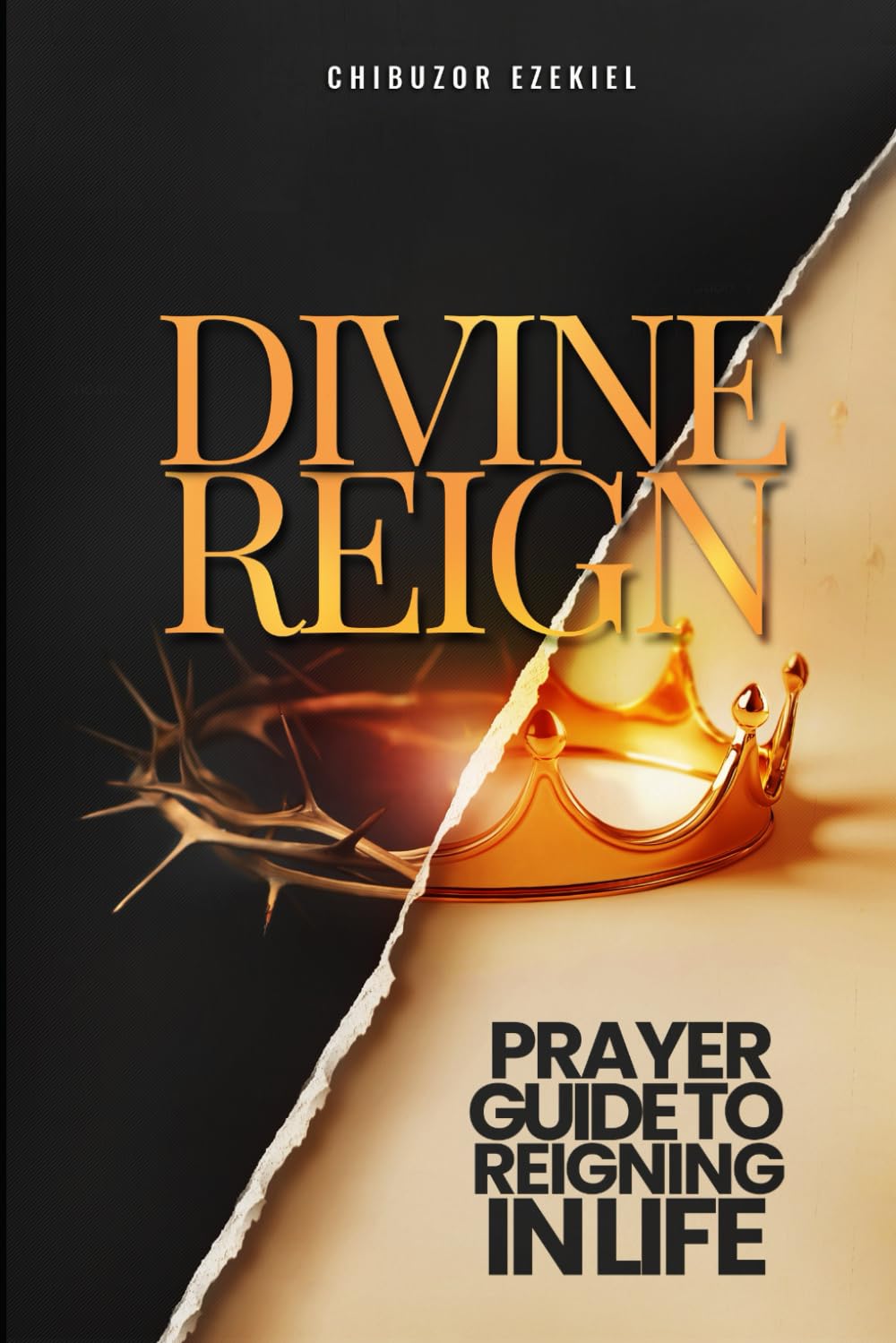 Divine Reign: Prayer Guide to Reigning in Life