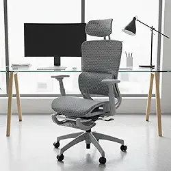 Cadeira Executiva Ergonômica, Giratória, Tela Mesh, Reclinável com Apoio Lombar e Cabeça, Suporta 150kg, Home Office e Gamer, NR17 (Cinza)