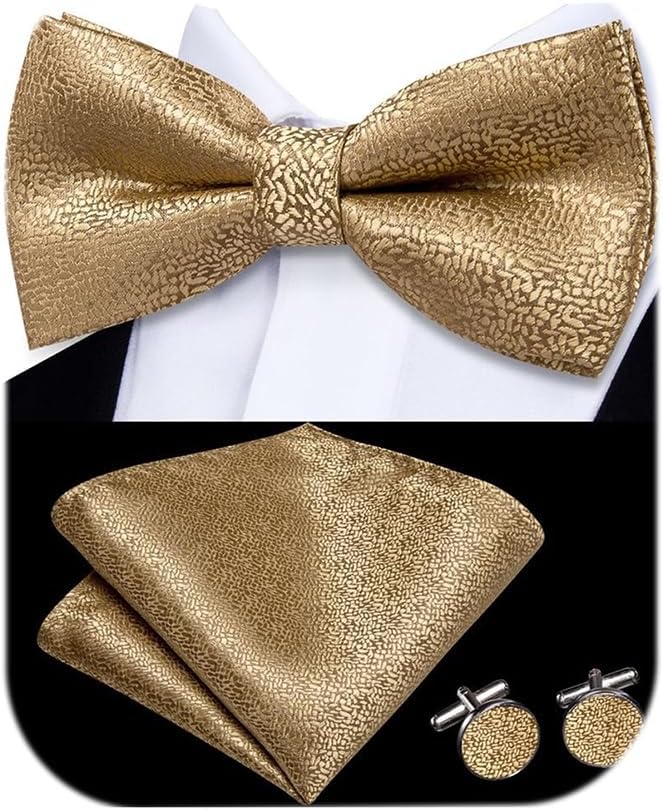 Mens Paisely Silk Tie for Men Necktie and Pocket Square Set