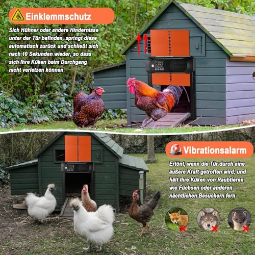 Automatische Hühnerklappe Solar, Cieex Größe Elektrische Hühnerklappe mit Timer, Wasserdicht LED Display, Lichtsensor, Fernbedienung, Auminum Solar Hühnerstalltür Intelligenter Einklemmschutz
