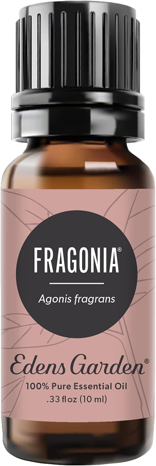Edens Garden Fragnoia Essential Oil, 100% Pure Therapeutic Grade (Undiluted Natural/ Homeopathic Aromatherapy Scented Essential Oil Singles) 10 ml