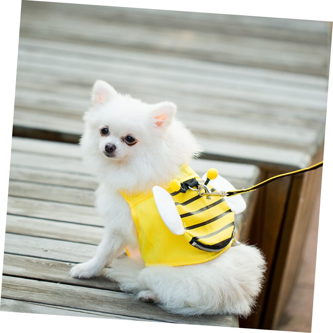 BESPORTBLE 3juegos Arnés y Correa para Perros Medianos Diseño De Abejas Arnés De Malla Transpirable y Correa Resistente para Paseos y Entrenamiento De Cachorros