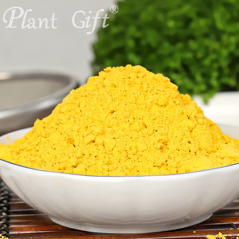 Plant Gift 100% Pure Pumpkin Powder 南瓜粉 Pasto naturale in polvere, ottimo sapore per bevande, frullato, yogurt, cottura, biscotti, torte e bevande, polvere non OGm 100G/3.25oz