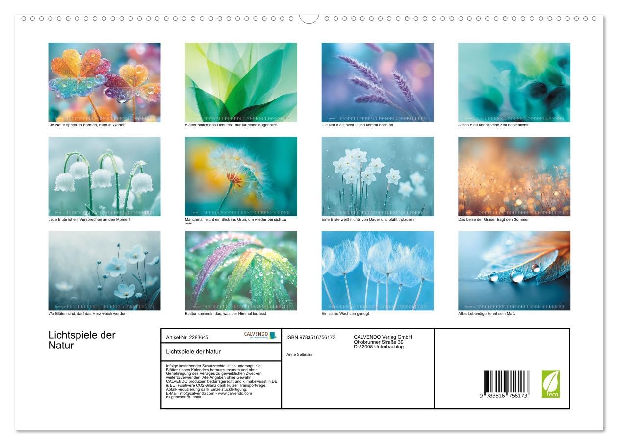Lichtspiele der Natur (hochwertiger Premium Wandkalender 2027 DIN A2 quer), Kunstdruck in Hochglanz: Blätter, Blüten, Gräser, Natur, Stimmung und Naturästhetik (CALVENDO Natur)