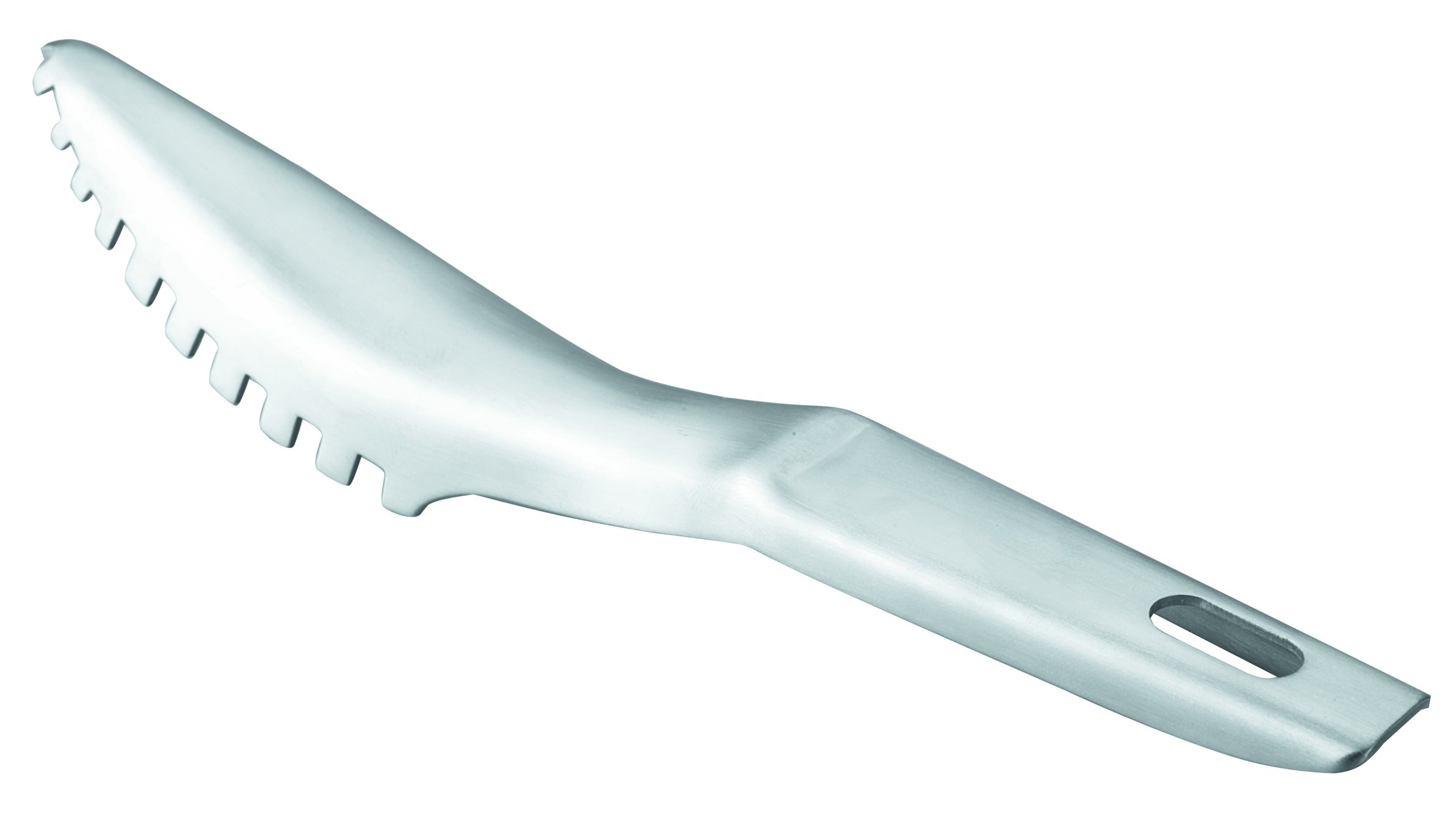 Lacor 39040 Stainless Steel Fish Scraper, 19 x 30 x 30 cm, Silver