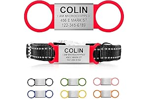 Personalized Pet ID Tag - Keep Track of Your Furry Friends' Safety and Style