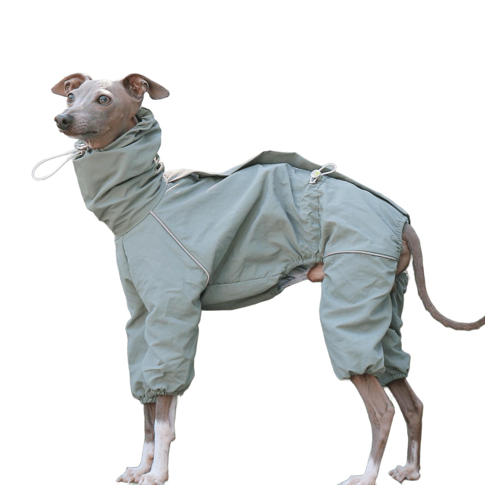 wasserdichte, verstellbare Jacke mit hohem Kragen für italienische Windhunde, 4 Beine, reflektierender Streifen, Hundemantel mit Reißverschluss für Whippet-Hunde