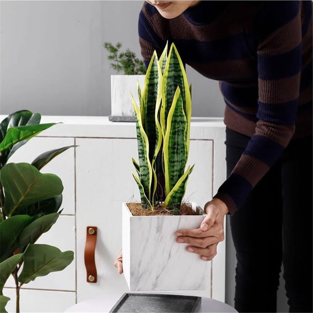 macetas para plantas Doniczka w kształcie kwadratu z kamieniem, doniczka ceramiczna podstawkami, tace i otwór drenażowy, na balkon salon kuchnia ogród(Duży)