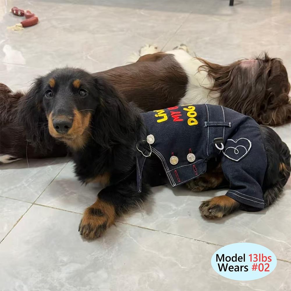 Denim Overalls, Adjustable Dog Jeans Jumpsuit with Straps, Cute Casual Suspender Pants with Back Embroidery for Dachshunds Schnauzers Bedlington Small Medium Dogs (Size 2(8-12lbs))