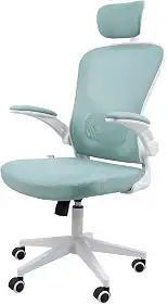 Cadeira Ergonômica Eurynom, Giratória, para Escritório e Home Office, com Encosto Reclinável (Modo Balanço), Braços Pivotantes, Apoio de Cabeça, Apoio Lombar (Azul Esverdeado)