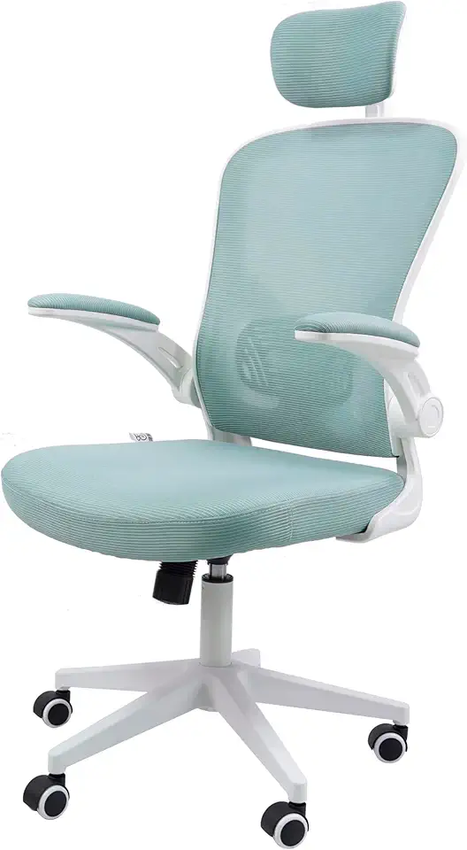 Cadeira Ergonômica Eurynom, Giratória, para Escritório e Home Office, com Encosto Reclinável (Modo Balanço), Braços Pivotantes, Apoio de Cabeça, Apoio Lombar (Azul Esverdeado)