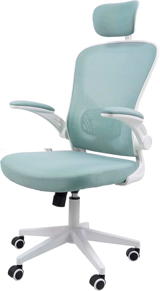 Cadeira Ergonômica Eurynom, Giratória, para Escritório e Home Office, com Encosto Reclinável (Modo Balanço), Braços Pivotantes, Apoio de Cabeça, Apoio Lombar (Azul Esverdeado)