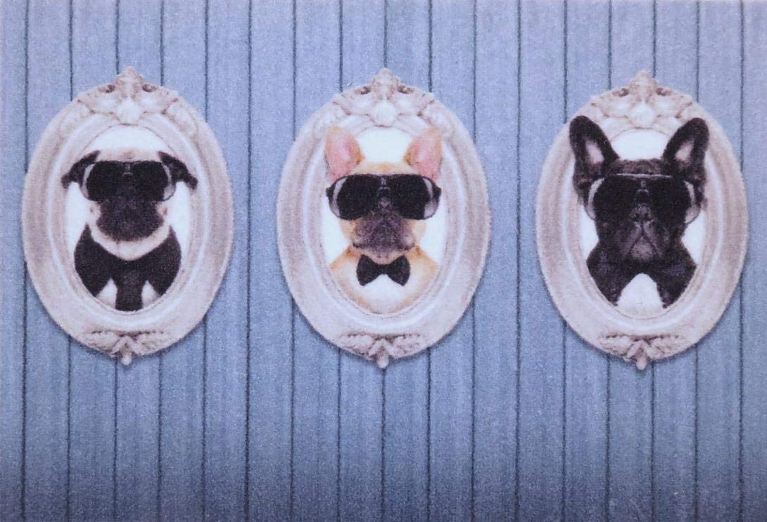 oKu-Tex Doormat, Polyamide, Multicoloured, 50 x 80 x 0,5 cm