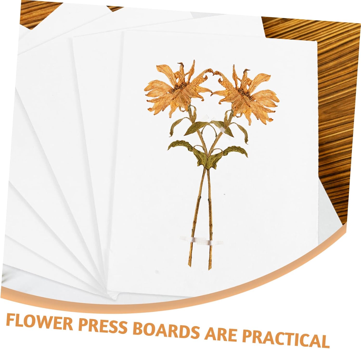 CTIRCHIU 6pcs Absorbent Flower Press Board Paper Dried Flower Making Tool