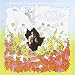 Little Dreams: Canterbury Recordings