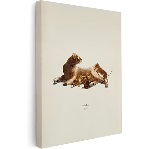 Poster Master Falis Leo Canvas - Lion Print - Minimal Cat Art- Wild Life & Animal Wall Art - Great Bedroom or Living Room Wall Decor - Available in 8x10 to 30x40