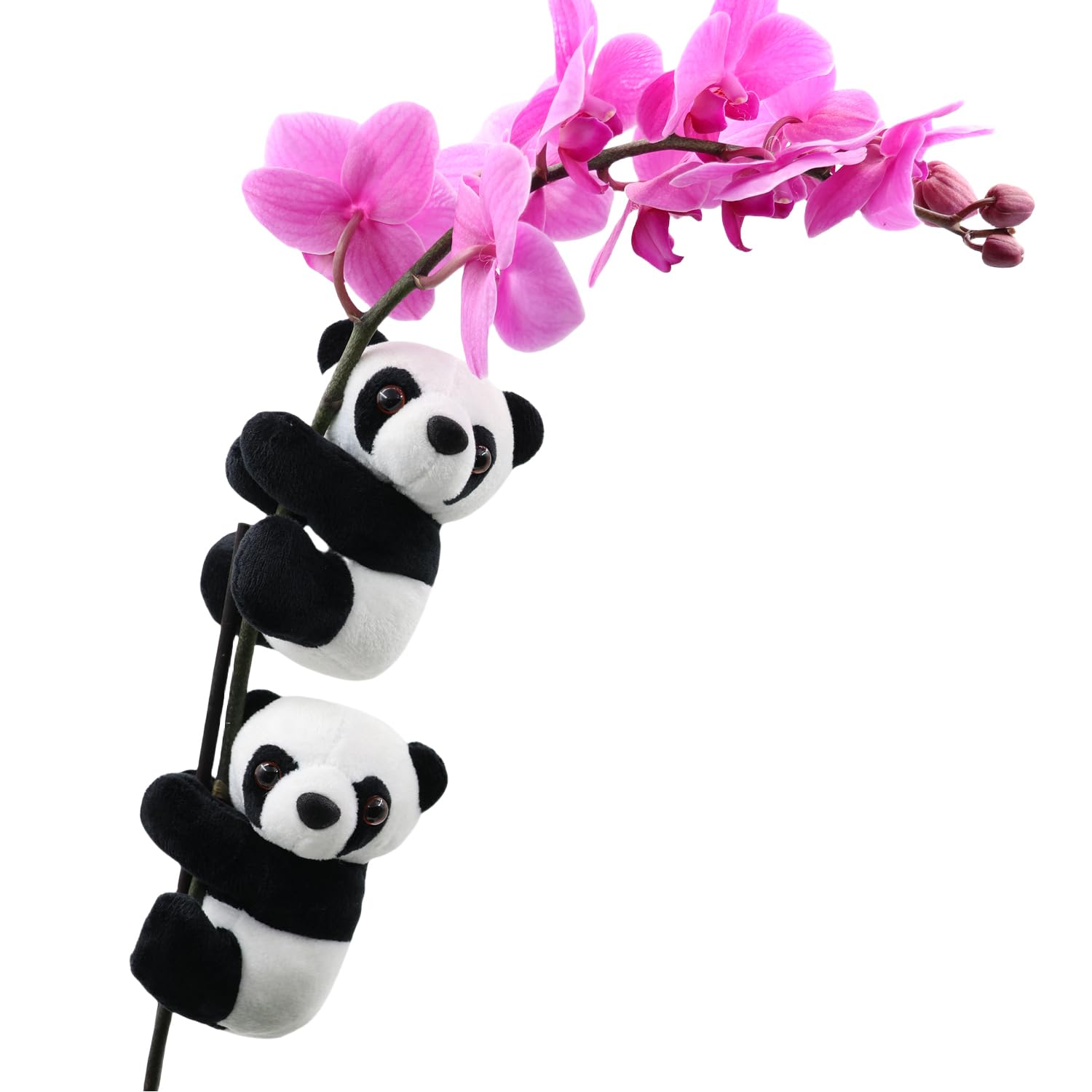 Panda Home Decor, Set of 2 Cute Plush Clips Plant Hanger Ornaments for Office, Creativity Orchid Clips for Support, Funny House Decorations for Plant Lovers