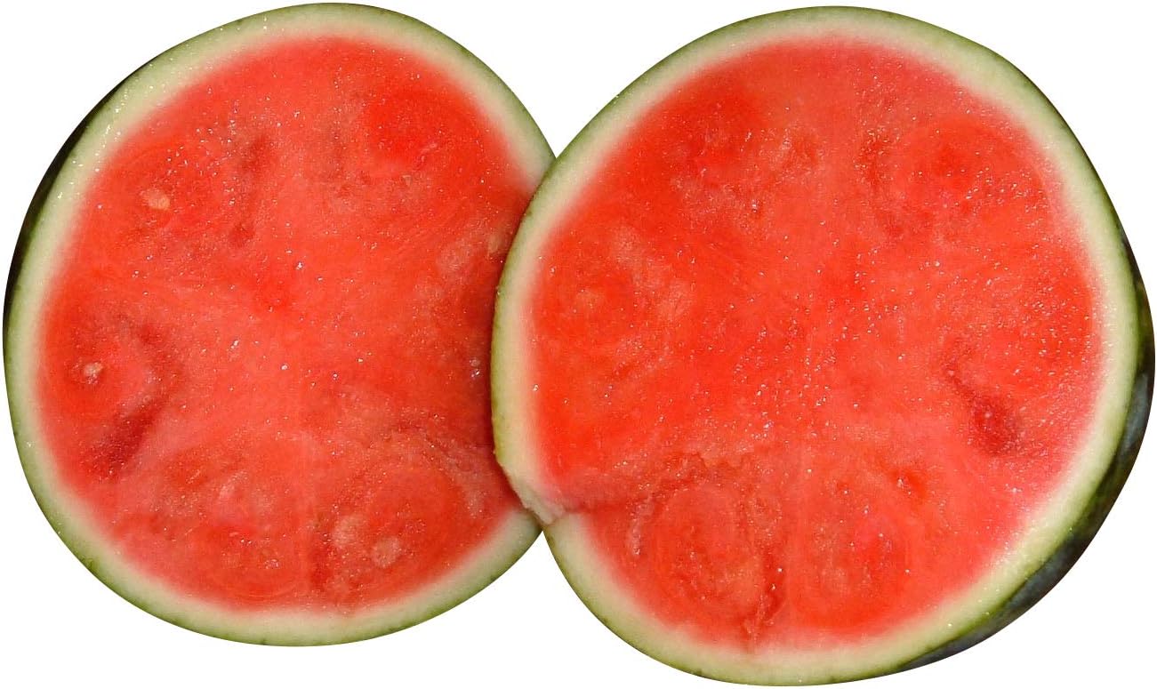 WATERMELON CRIMSON SWEET 10 SEEDS [MELON]