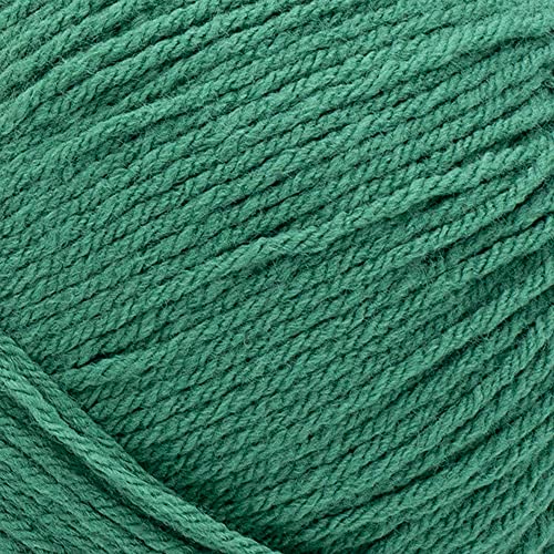 Image of Lion Brand Yarn Pound of Love, Large Value Yarn for Knitting, Crochet, and Crafts, Fern, 1 Pack