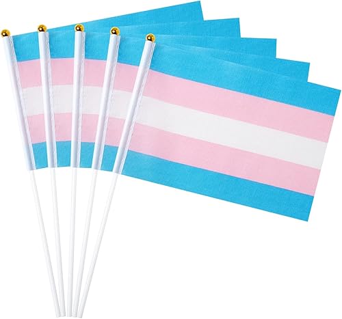 Vista 13 de GentleGirl Paquete de 12 banderas de arco iris del orgullo arcoíris, pequeñas banderas de mano gay LGBT Festival fiesta desfiles decoraciones Bander