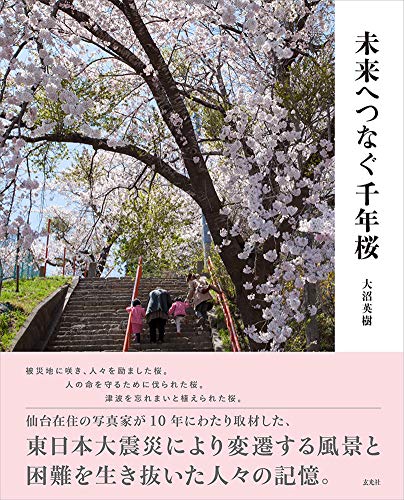 未来へつなぐ千年桜