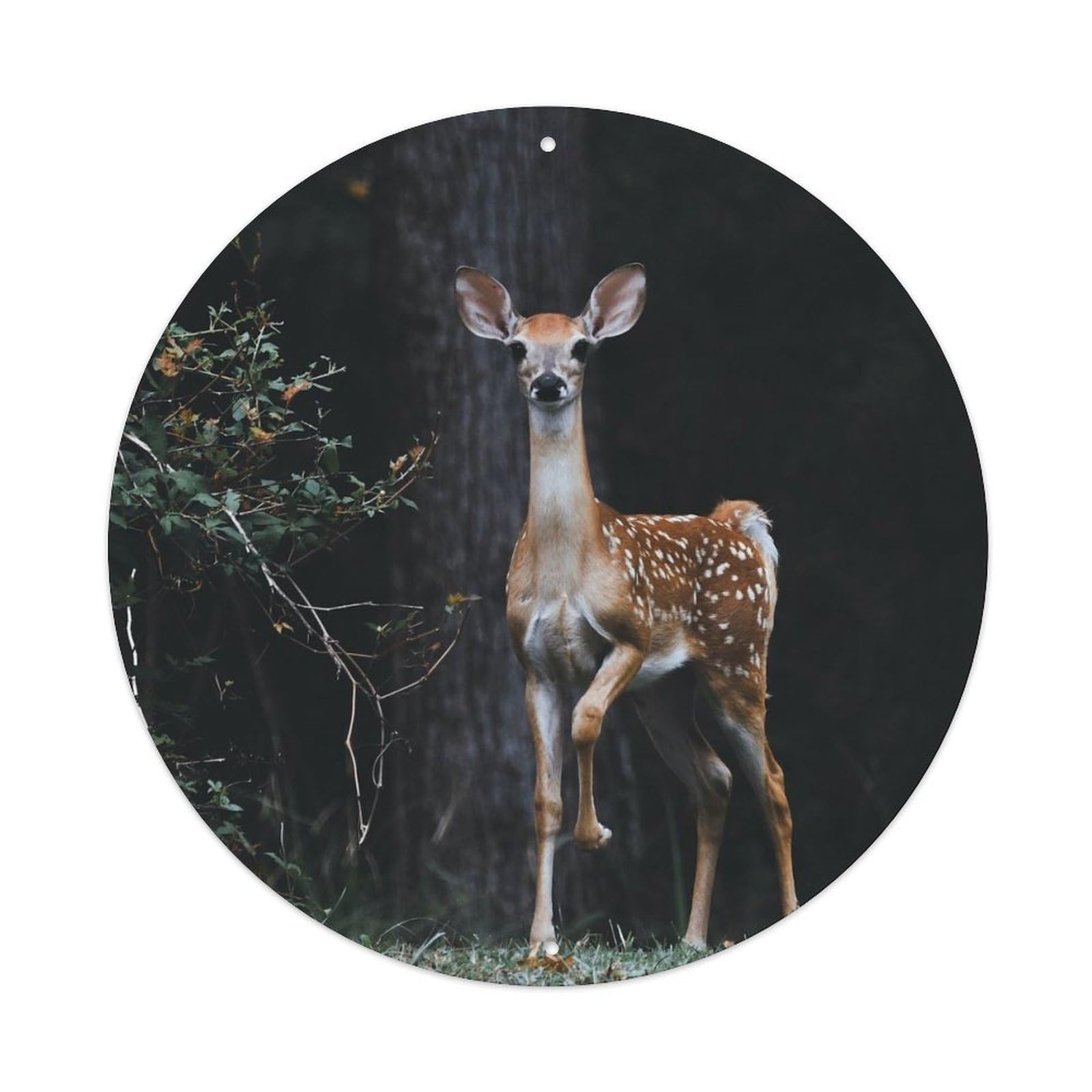 White Tailed Deer Wildlife Forest Vintage Metal Tin Sign