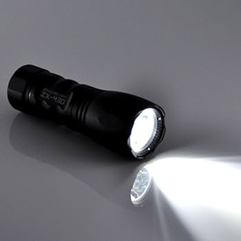 Amazon | 冨士灯器 ゼクサス LEDライト ZX-430 [明るさ:210