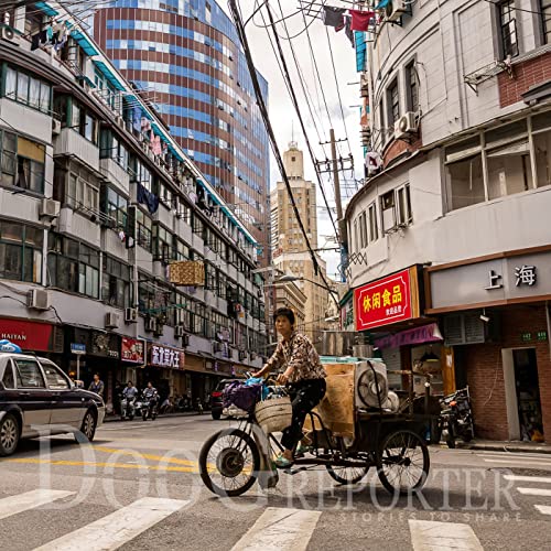 『Shangai | Old replaced by new』のカバーアート