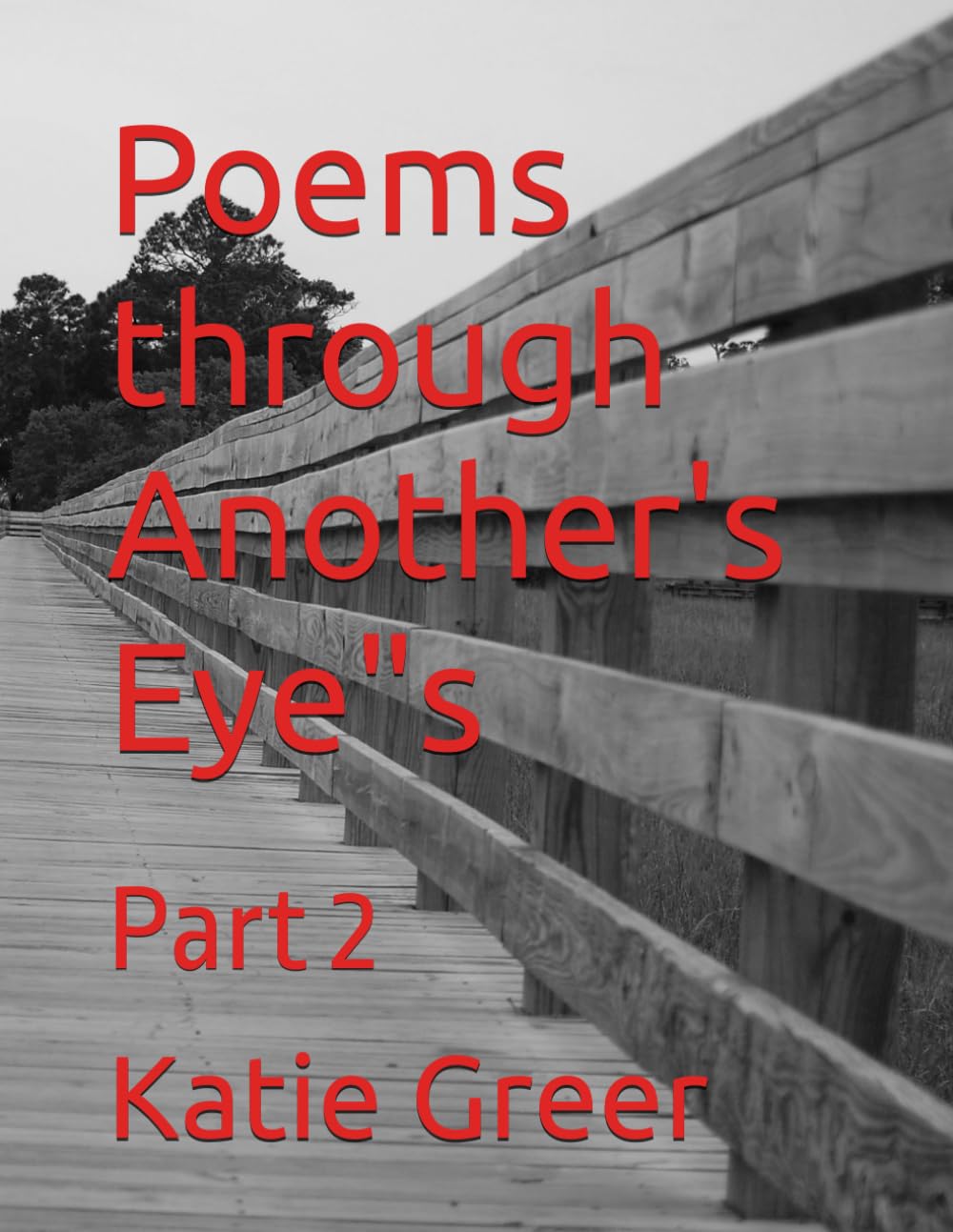 Poems through Another's Eye"s: Part 2