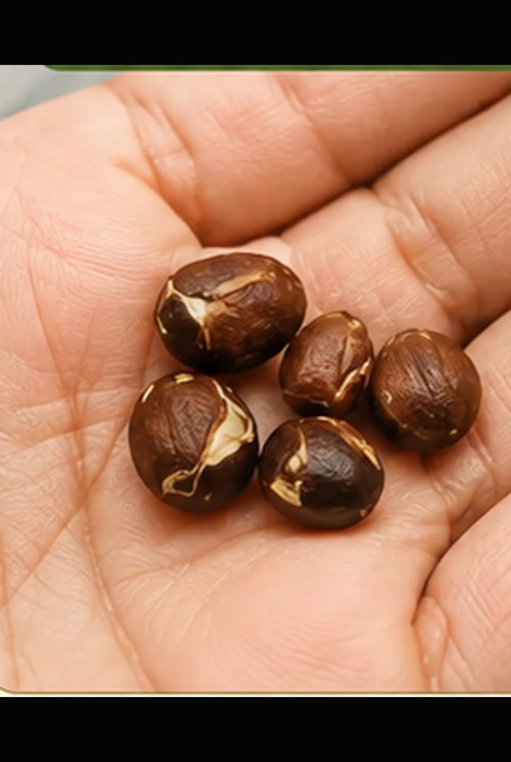Traditional Tamarind Seed Remedies for Knee Comfort: To relieve knee pain, roast and eat tamarind seeds.