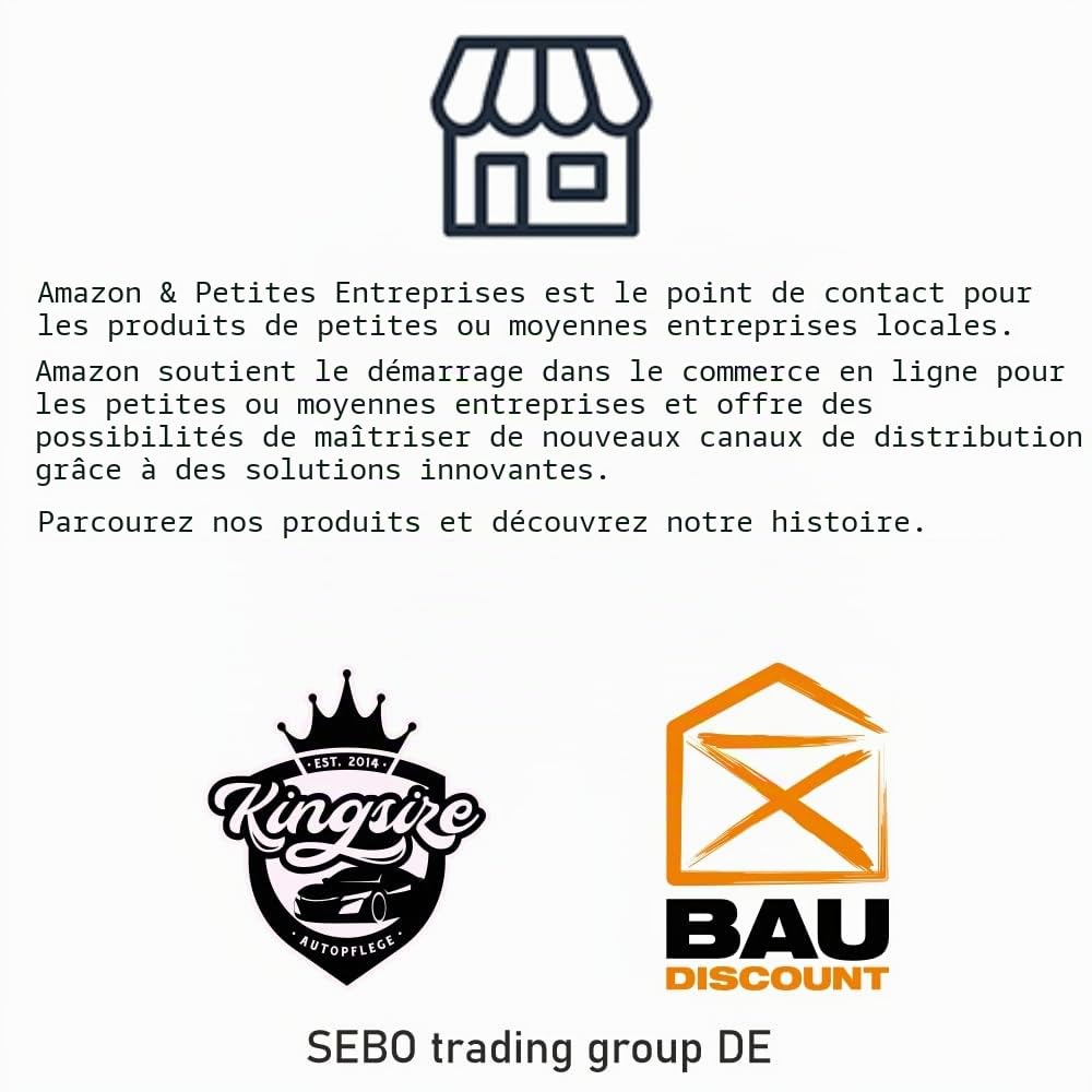 Koch Chemie Ensemble de pinceaux de nettoyage d'intérieur
