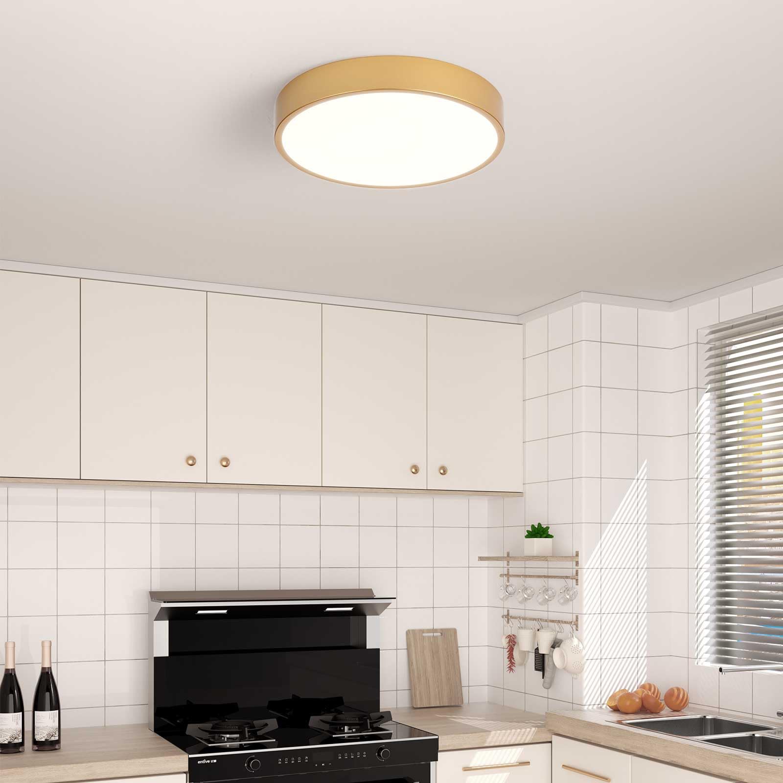 Oro Plafon LED Techo,Ø40Cm Metal 30W Lampara Techo Control De Luz Ajustable Cocina Lampara Circular Lamparas De Techo Salon Para Habitacion Dormitorio Comedor