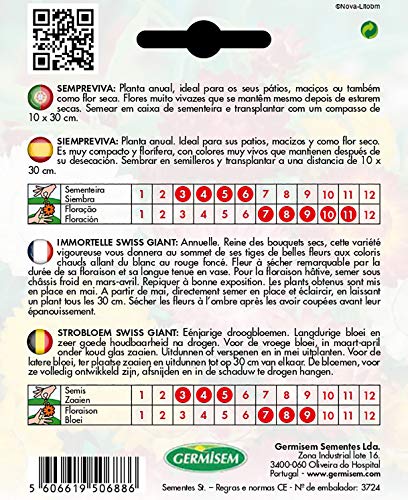 Germisem EC1536 Swiss Giant Mix Stro Bloem Zaden 0.75 g - Afbeelding 3