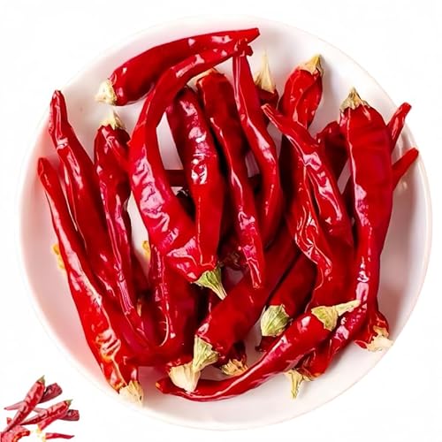 hq `ybp[ Ɛh L V 煞 uߕ ؐH ԓhq O_ Aih 1020gj