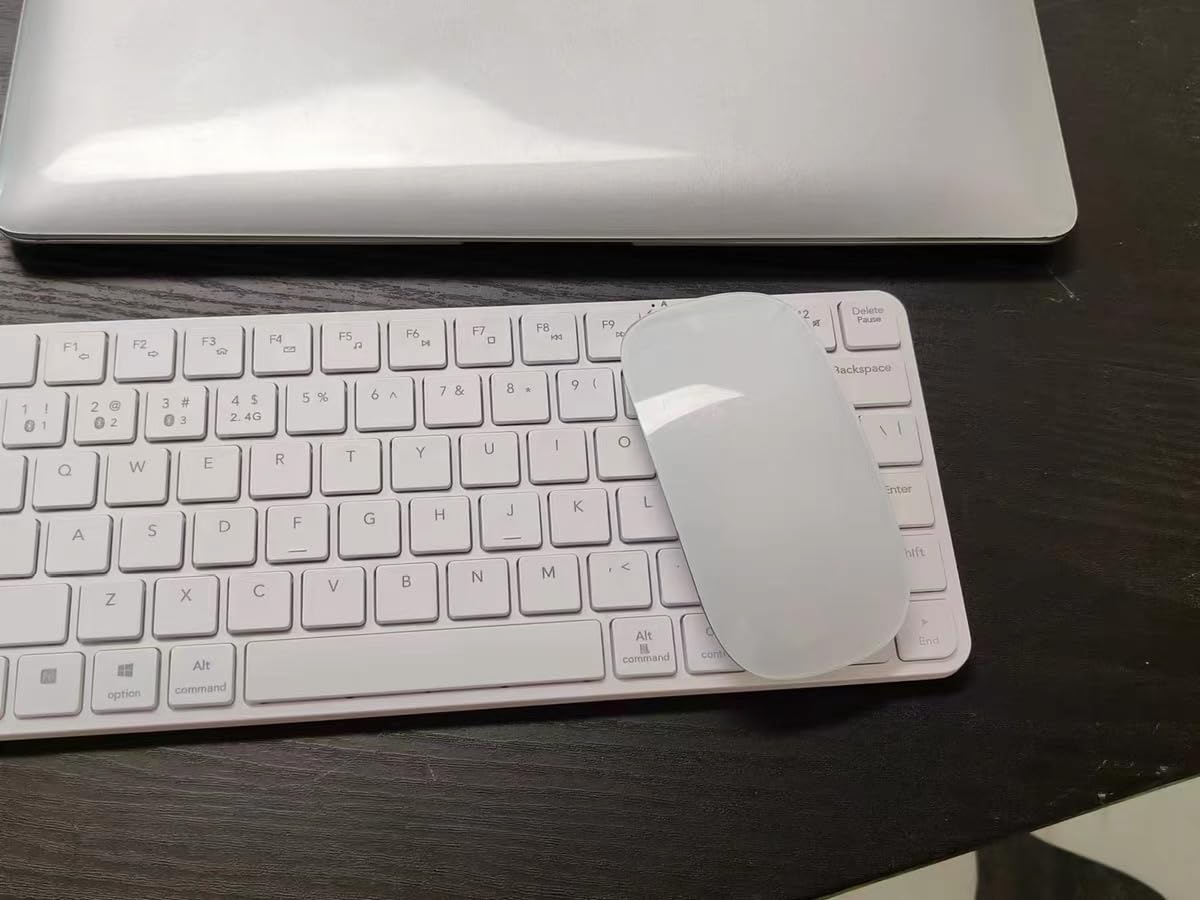 Amazon.in: Buy LuolaProject Wireless Multi-Touch Surface Magic