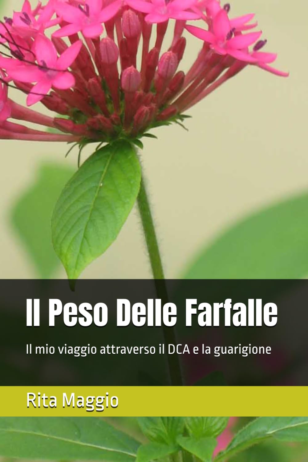 Il Peso Delle Farfalle: Il mio viaggio attraverso il DCA e la guarigione