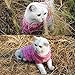 Bro'Bear Cable Knit Turtleneck Sweater for Small Dogs & Cats Knitwear (Pink, Large)