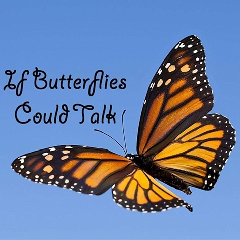 If Butterflies Could Talk