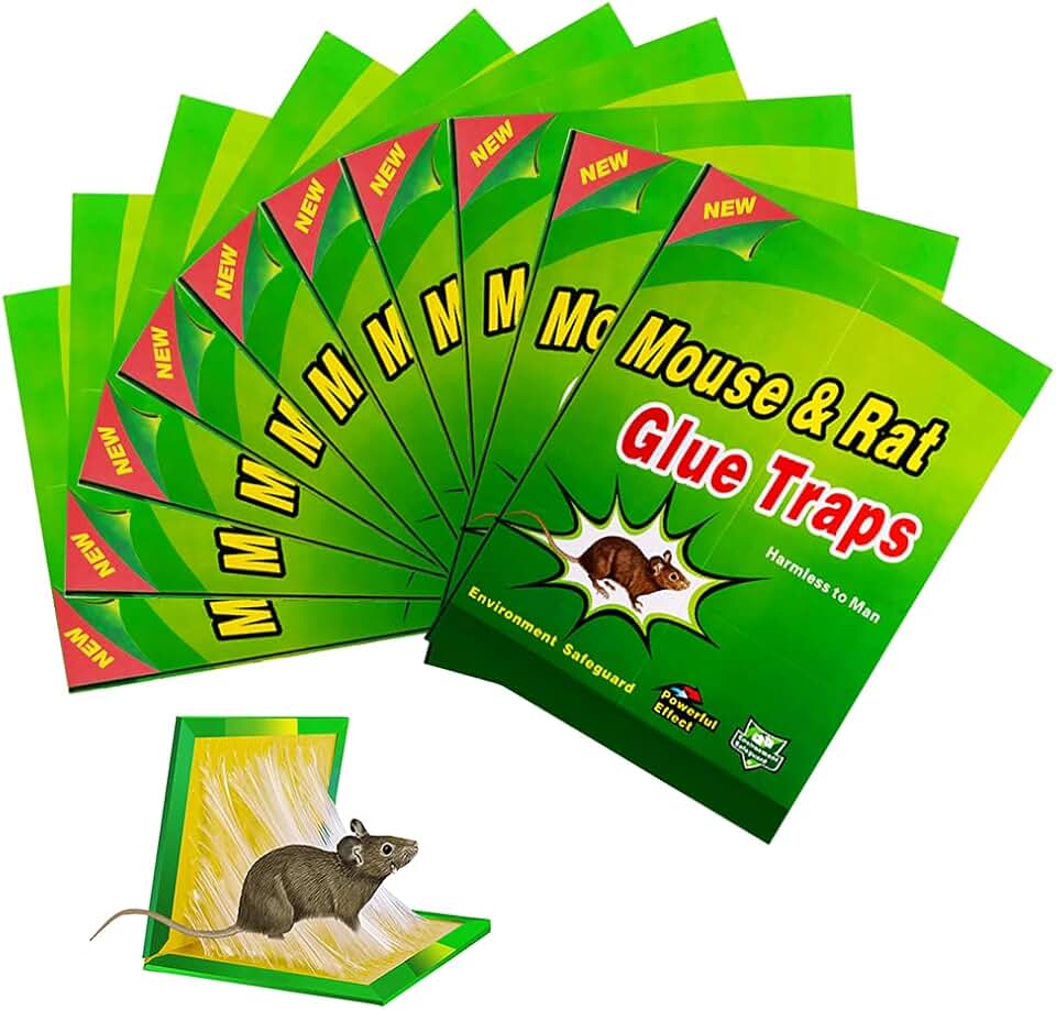 Amazon.ca mouse trap