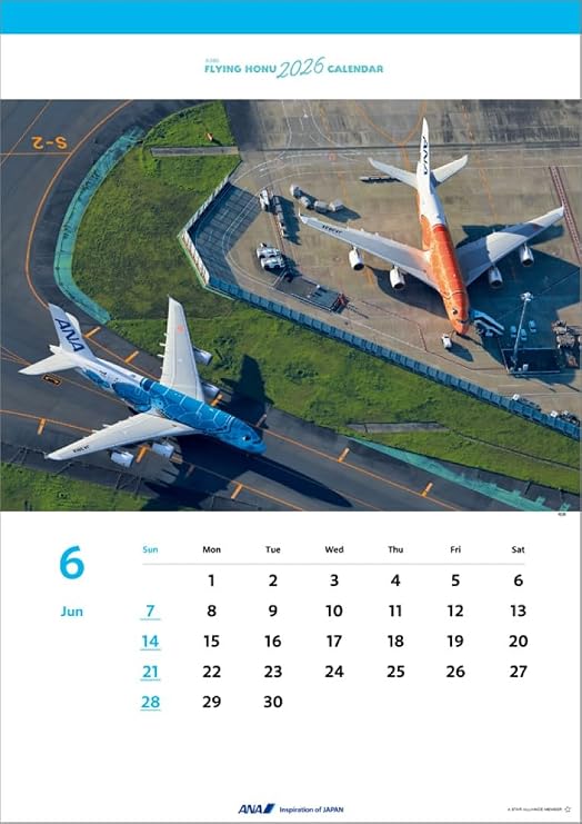 ANA A380 FLYING HONU 2026 Wall Calendar CL26-1158