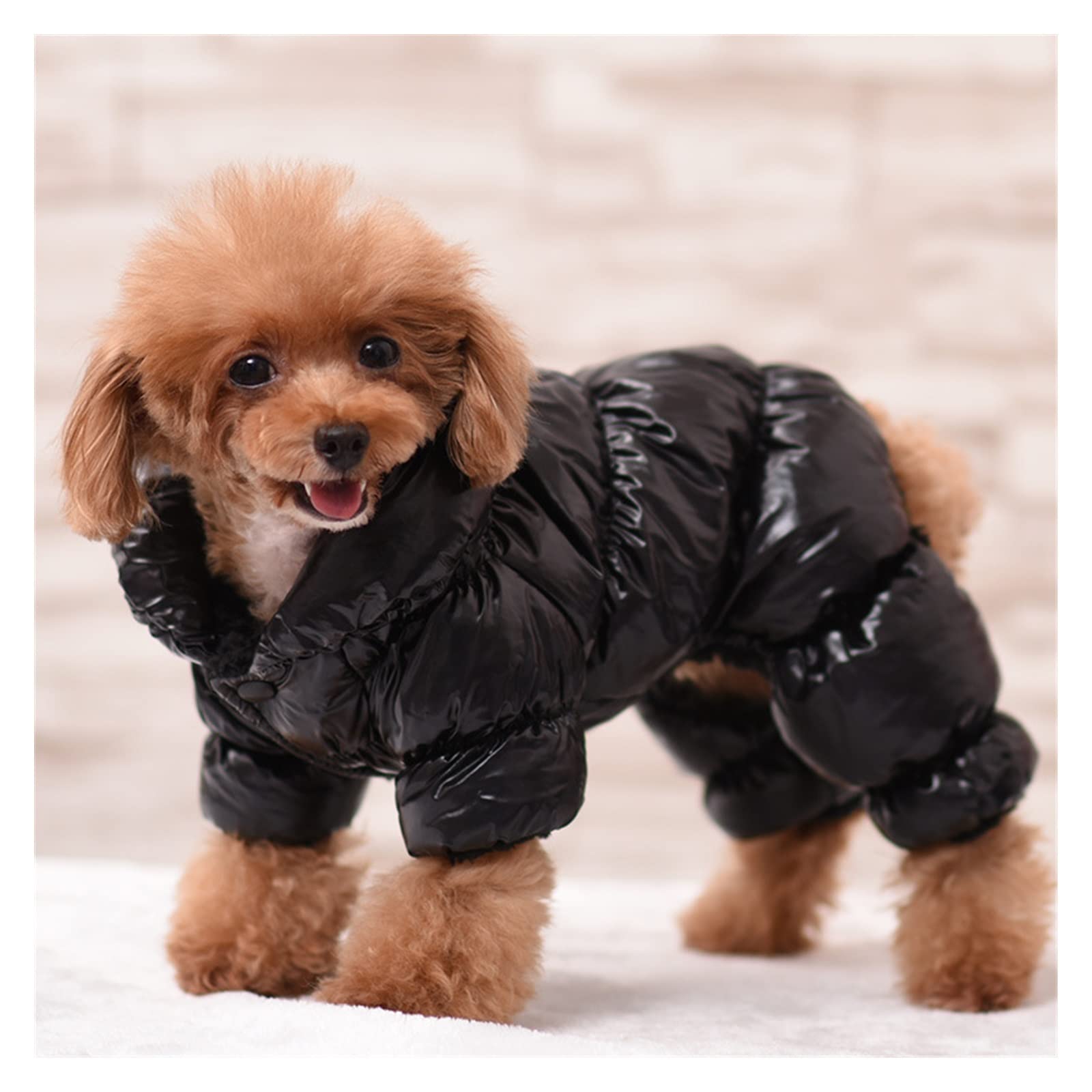 Kikbax Vestiti del Cane Vestiti Caldi dell'animale Domestico Giacca del Cappotto dell'animale Domestico (Color : Black, Size : M)