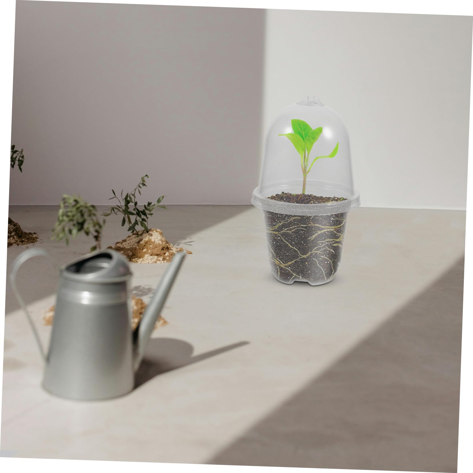 INOOMP 20sets Vasi Da Giardino Con Copertura Umidificatrice Vasi Per Piante Trasparenti Con Drenaggio e Design Moderno Per Casa e Giardino