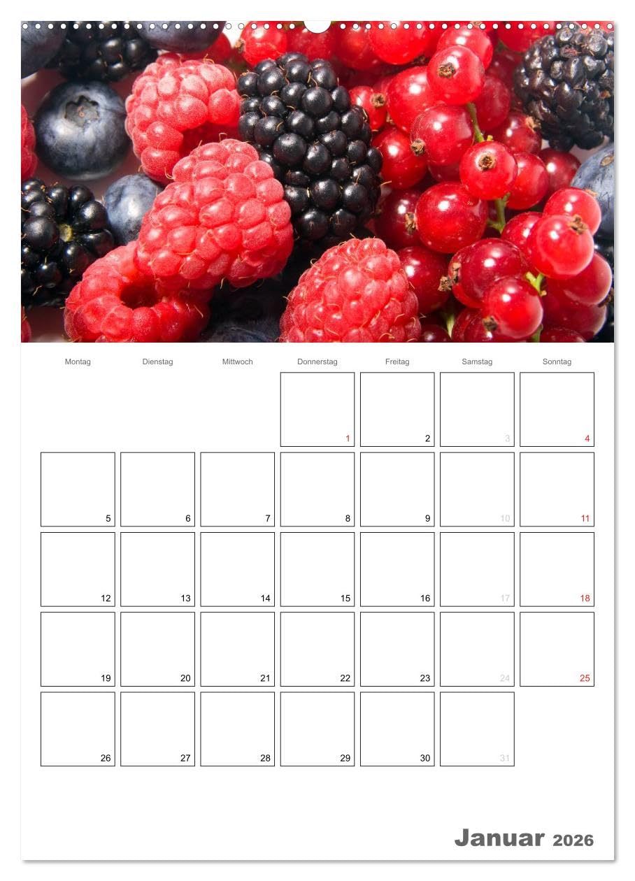 Frische Küche - Der hilfreiche Monatsplaner/Planer (hochwertiger Premium Wandkalender 2026 DIN A2 hoch), Kunstdruck in Hochglanz