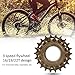 FUZHUI Bike Freewheel - Bicycle 3 Speed Freewheel, 16T-19T-22T Bike Flywheel 3 Gears, Mountain Bike Flywheel, High Strength Durable Flywheel for Mountain Road Bike Replacement Accessory