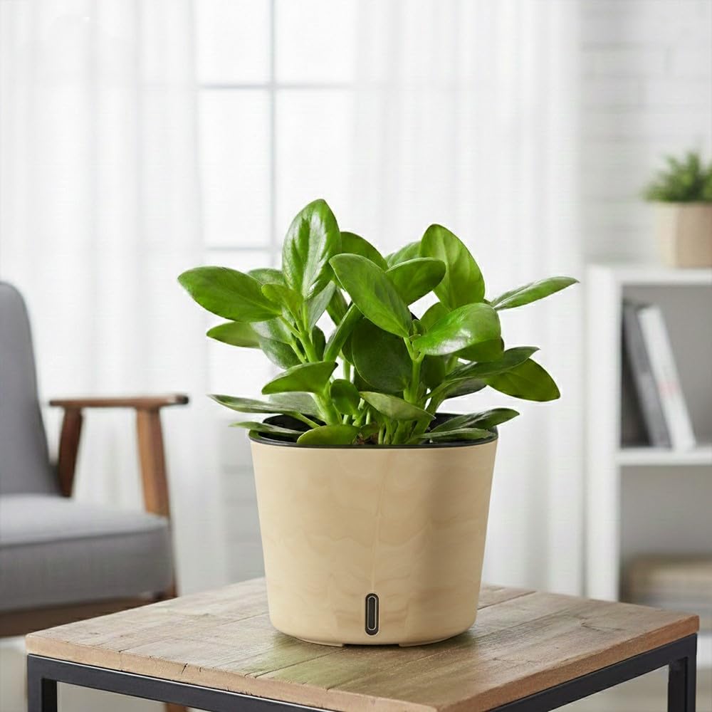 GARDENCIA Self Watering Pots - Modern Plant Cachepots -10 GARDENCIA Self Watering Pots - Modern Plant Cachepots -10