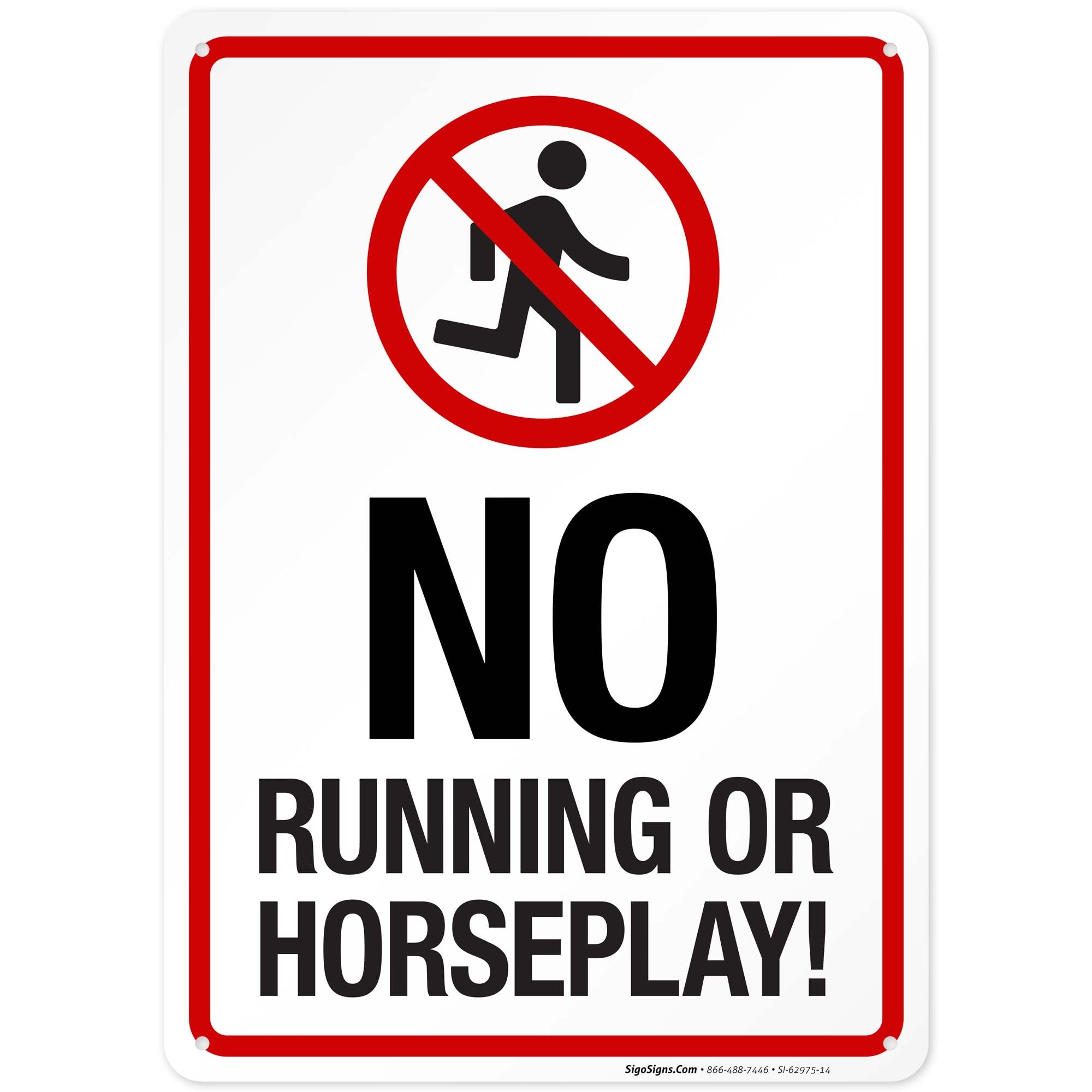 No Running Or Horseplay with Graphic Sign, 10x14 Inches, Rust Free .040 Aluminum, Fade Resistant, Made in USA