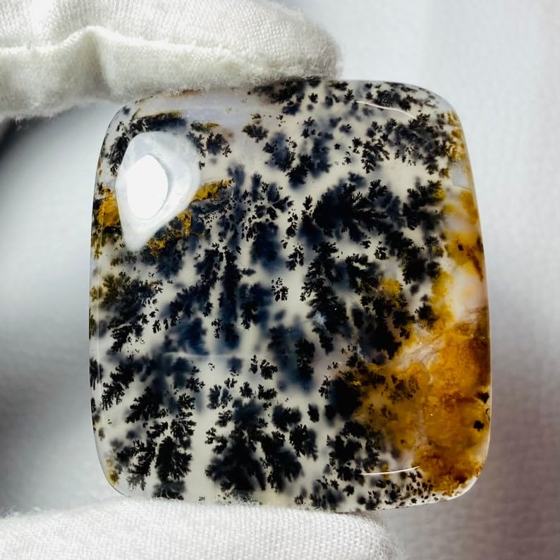 Agate dendritique cabochon de qualité gemme supérieure pour la haute bijouterie - 4