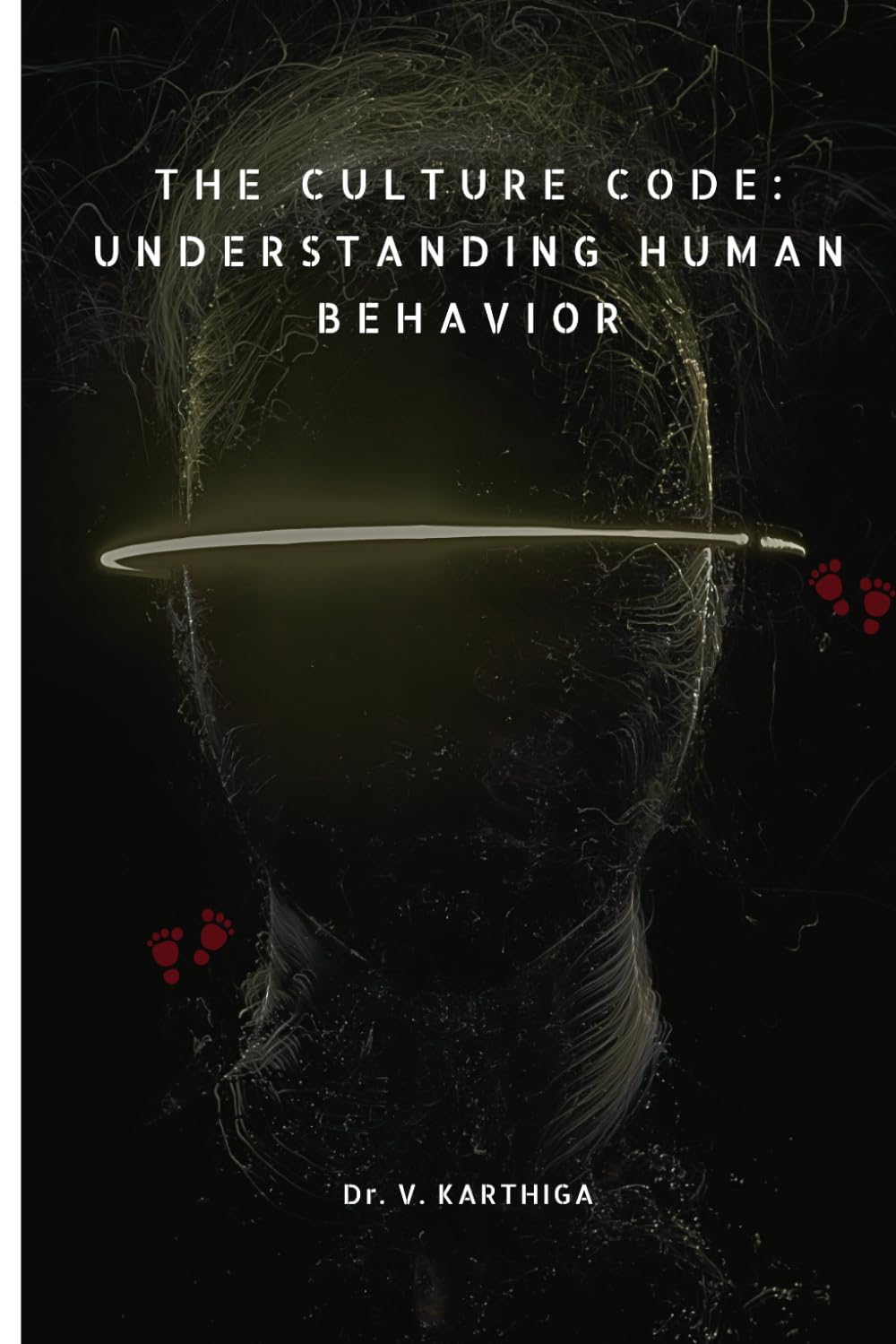 The Culture Code: Understanding Human Behavior