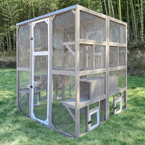 Catio Outdoor Cat Enclosure with Weatherproof Tarp Roof, Large Window, Multi-Platform Walk-in Cat House for Indoor/Outdoor Use Double (Catio Cat Enclo