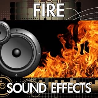 Fireplace Wood Burning (Version 4) [Sound Effect]